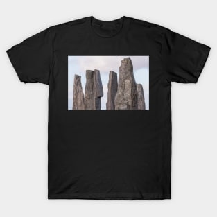 Calanais / Callanish #4 T-Shirt